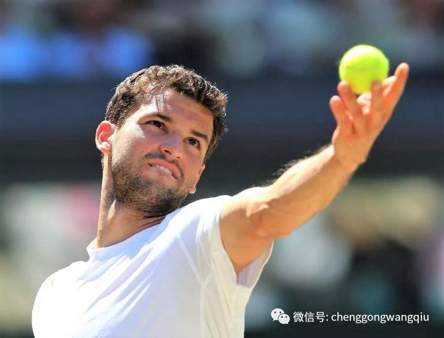 整个市场的 整个市场的